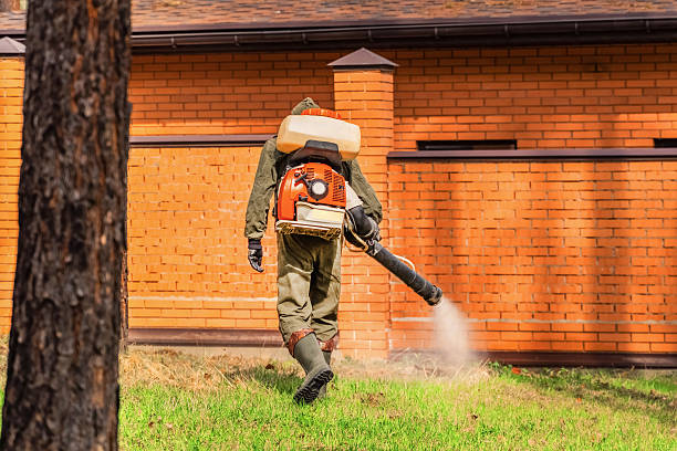Trusted Cockroach Control service in Terre Hill, PA - Nex Pest Control